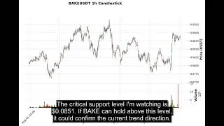 BAKE (BAKEUSDT) Technical Analysis - Price Prediction & Buy or Sell August 24, 2025
