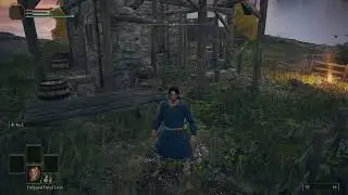 Elden Ring mod - Cellan's Survival Mod / Demonstration of the Hunger mechanic