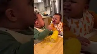 Twin Babies FIGHT Over Corn 🌽😱#babyfunny #twins #siblingrivalry #cornbaby #baby #funny #momlife