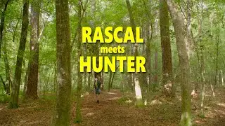 THE CRYSTAL: Rascal Meets Hunter | Action Comedy Short Film