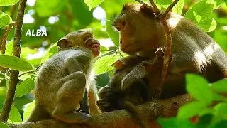 How little ALBA request milk mom Anna?, Alba scare mom Anna so much