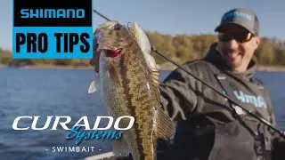 Shimano Pro Tips | Bass Fishing with Swimbaits | Curado Systems