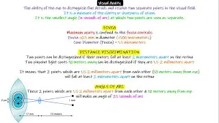 Visual Acuity. Chapter 50 part 5. Guyton and Hall Physiology.