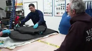 Experiential Learning With ACT