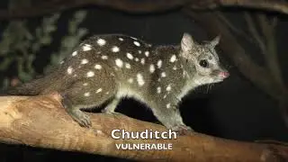 Alcoa bauxite mine destroys biodiversity Jarrah Forest West Australia