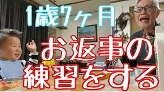 爆笑！🤣1歳7ヶ月お返事の練習
