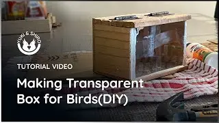 How to Make a Transparent Bird Box for Your Feathered Friends | DIY Step-by-Step Guide #birdbox