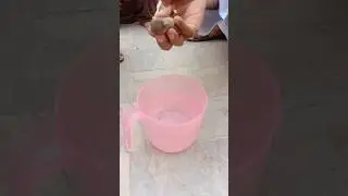 Best Video Humanity #shortwevlogs #vlogs