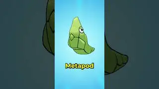 Unusual Random Facts About Metapod Pok&eacute;mon You Probably Didn&rsquo;t Know