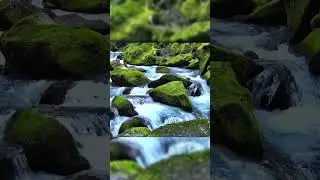 relaxaxing river sound #aiambience #ainature #aiwildlife #meditationmusic #usa