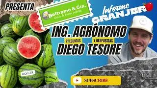 Preguntas y Respuestas con el Ing. Agr. Diego Tesore - Jueves 08-01-2026