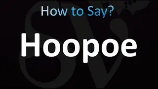 How to Pronounce Hoopoe (correctly!)