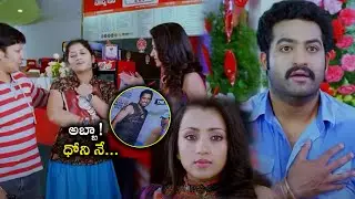 Dhammu Movie Jr NTR And Trisha Scenes || Latest Telugu Movie Scenes || Telugu Super Hit Movies