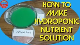 DIY Hydroponic Nutrients: How to make Hydroponic Nutrient Solution at Home | Hydroponic Fertilizer