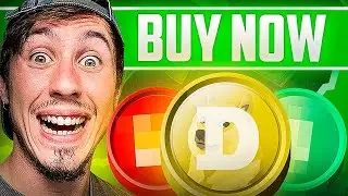 KOIN MEME atau Kripto Terbaik untuk Dibeli Sekarang di Bulan Agustus?!