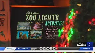 Memphis Zoo Lights