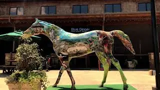 Tryon International Equestrian Center
