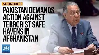 UNSC Moot: Pakistan demands action against terrorist safe havens in Afghanistan | Dawn News English