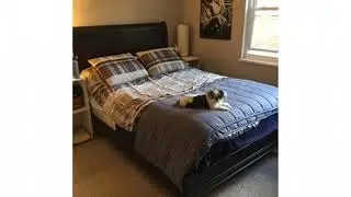 A5 Colonial Dr Unit 7, Andover MA 01810 - Condo - Real Estate - For Sale -
