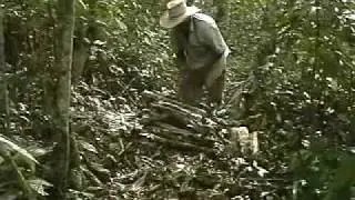 The Wood Carrier 