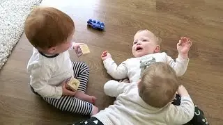 Драка тройняшек закончилась слезами!