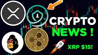 XRP News Today, Ripple XRP Price Prediction, Safemoon Wallet News, Feg Token News | Crypto News