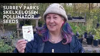 Surrey Parks Skelkelosen Pollinator Seed Blend - wildflowers native to British Columbia