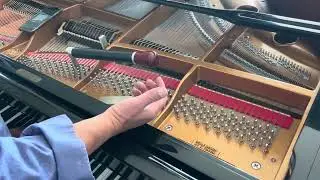 Tuning a grand piano