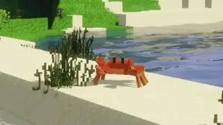 MINECRAFT CRAB POOLSIDE VIEW