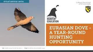 AHE 2022 - Webinar #24 - Eurasian Dove -  A Year Round Hunting Opportunity