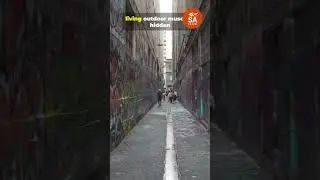 Chicago Hidden Gems You NEVER Knew Existed! (45 Seconds) SA Travel Guide