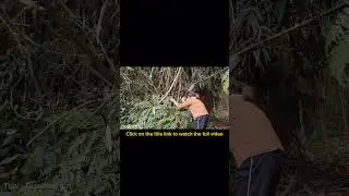 Disabled girl helps hungry old woman in the forest - old woman @Toai-Disabledgirl