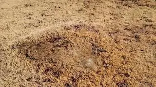 Water supply Failure