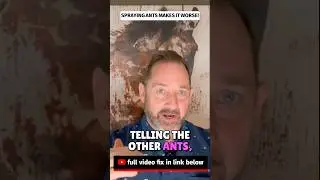 ПРЕКРАТИТЕ опрыскивать муравьев ❌ (Это только усугубит ситуацию)