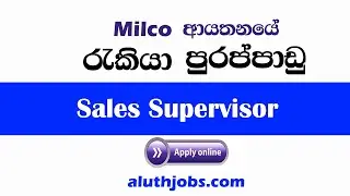Milco Job Vacancies 2020 | Milco Job Vacancies | Milco Sri Lanka