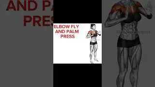 Elbow fly and palm press #elbowpain #stretching