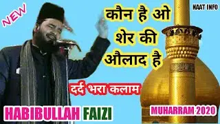 HABIBULLAH FAIZI - दर्द भरा कलाम - कौन है ओ शेर की औलाद है - MUHARRAM NAAT 2020 - NAAT INFO