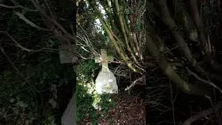 Southampton Common Cemetery 4 #empath #paranormal #investigations #ghost #ghosthunting #creepy