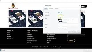 Ninja Beaver Addons  Image Hover Module