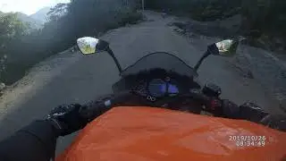 Wandering Eagles