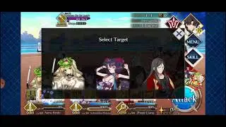 Hokusai vs Mysterious Alter Ego &lambda; ( 2 Turns)