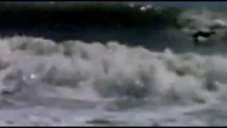 olas orilleras