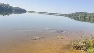 A peaceful mood calm few minutes at Natchez Trace Lake .
