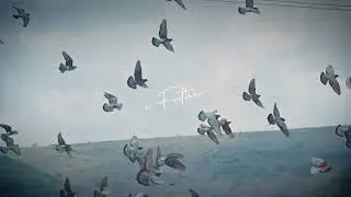 Diamond Eyes - Father (Official Lyric Video)