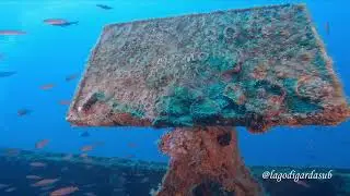 Le emozioni sulla Haven