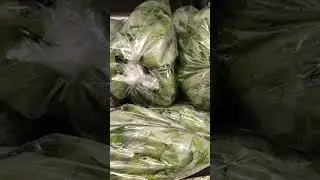 everything we always wanted to know about yam leaves 😍
