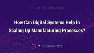 L7 Expert Insights: Steven Barash at BMWS 2024 about Scaling Up Processes