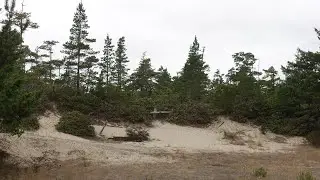 PCH Vlog Episode 13: Dunes City to Charleston