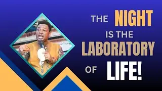 THE NIGHT IS THE LABORATORY OF LIFE! 