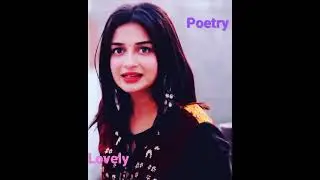 patang unchi